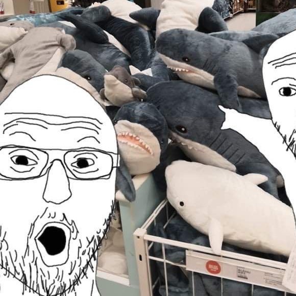 KJIN🤍 - Picture 1 of 1